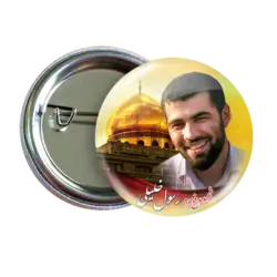 پیکسل شهید رسول خلیلی 2Z 45