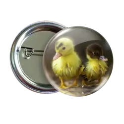 پیکسل نگارایرانی طرح W 54