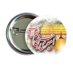 پیکسل امیری حسن و نعم الا میری مدل 2F 84