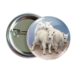 پیکسل نگارایرانی طرح W 97