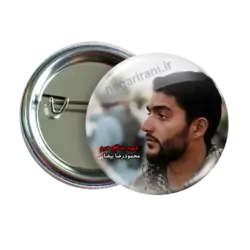 پیکسل محمود رضا بیاضی مدل 2Z 209