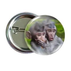 پیکسل نگارایرانی طرح W 55