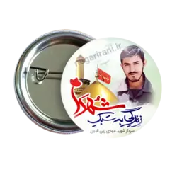 پیکسل شهید مهدی زین الدین مدل 2Z 2