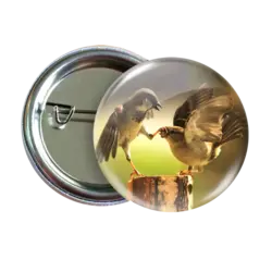 پیکسل نگارایرانی طرح W 62