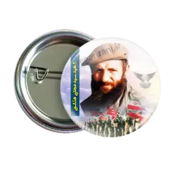 پیکسل شهید سید مجتبی هاشمی مدل 2Z 114