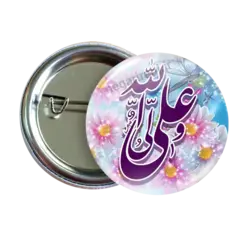 پیکسل علی ولی الله 2D 79