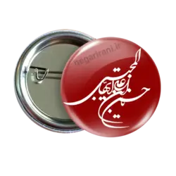 پیکسل یا حسن مجتبی مدل 2E 1