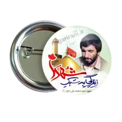 پیکسل شهید سید علی جهان ارا مدل 2Z 13