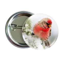 پیکسل نگارایرانی طرح W 65