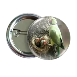 پیکسل نگارایرانی طرح W 39