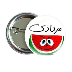 پیکسل نگارایرانی طرح AV 41