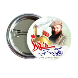 پیکسل شهید مجتبی هاشمی مدل 2Z 15