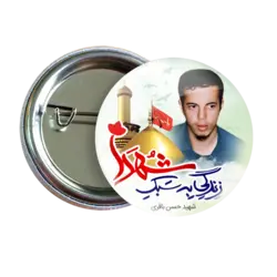 پیکسل حسین باقری مدل 2Z 6