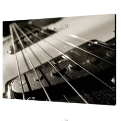 تابلو شاسی گیتار مدل AC 2