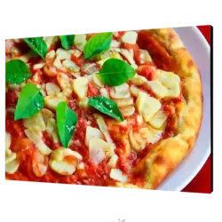 تابلو شاسی پیتزای سبزیجات مدل V25