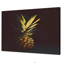 تابلو شاسی آناناس مدل V33