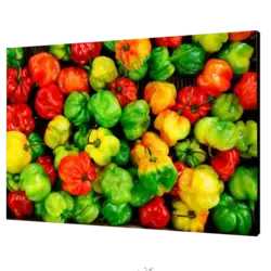 تابلو شاسی فلفل دلمه یی مدل V35