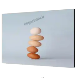 تابلو شاسی تخم مرغ مدل V52