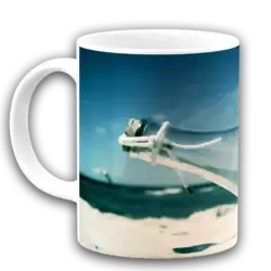 ماگ بطری در شن مدل AT5