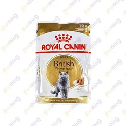 پوچ گربه بریتیش رویال کنین