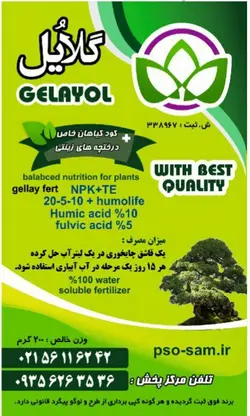 کود تقویتی خارجی برای انواع گیاهان آپارتمانی وبیرون آپارتمان بابرند گلایول فوق العاده