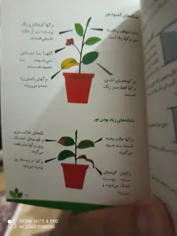 کتاب گلهای آپارتمانی ومشاوره گیاه پزشکی جیبی