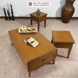 میز جلومبلی چوبی مدرن کشو دار مدل 137 سهیل (روکش طبیعی چوب بلوط)