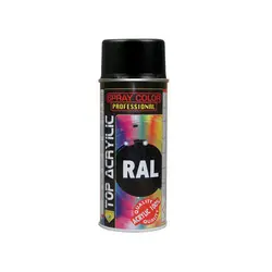 اسپری رنگ رال مشکی براق اکو سرویس 9005 Eco Service RAL Spray Color - خرید چسب - اسپری رنگ دوپلی کالر
