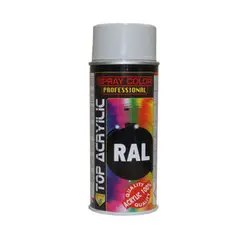 اسپری رنگ رال طوسی روشن اکو سرویس مدل RALL 7035 - خرید چسب - اسپری رنگ دوپلی کالر