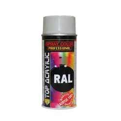 اسپری رنگ رال طوسی اکو سرویس مدل RALL 7031 - خرید چسب - اسپری رنگ دوپلی کالر
