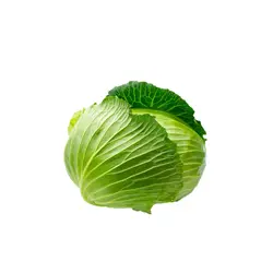 کلم پیچ سفید