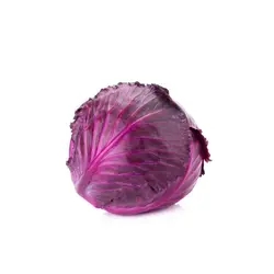 کلم پیچ قرمز