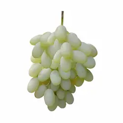 انگور ریش بابا