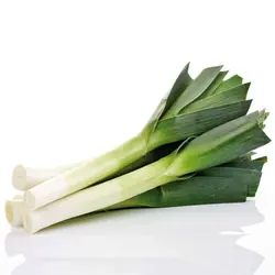 تره فرنگی