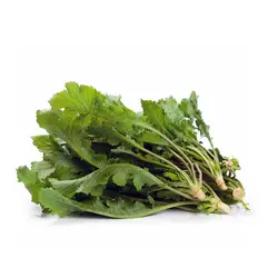 شاهی
