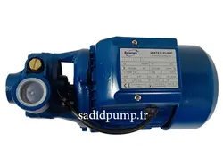 پمپ آب 1 اینچ 1 اسب 60 متری برامکس skp80 (ویکتوری) bramex - victory