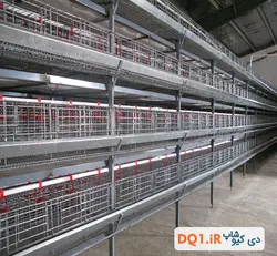 قفس بلدرچین تخمگذار