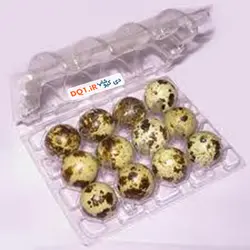 ظرف بسته بندی دکمه ای 12 عددی تخم بلدرچین | بسته 12 تایی تخم بلدرچین