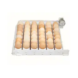 ترنر مرغ ۴۲ عددی