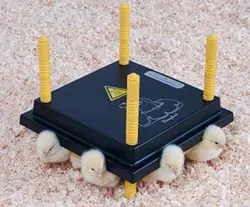 مادر مصنوعی باغی