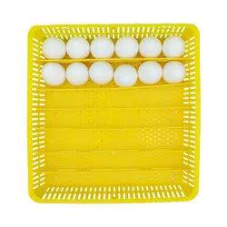 شانه همه کاره ( سایزیک )