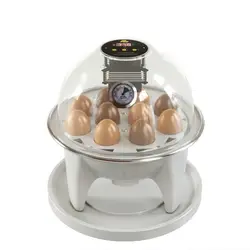 دستگاه مینی کاکس ۱۰ تایی