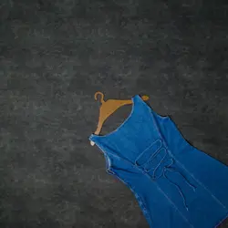 سارافن جین Udelle • ژینوپلاس