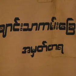 شومیز • ژینوپلاس