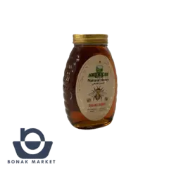 عسل وزن 454 گرم امریکن نچرال