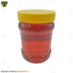 عسل گشنیز طبیعی (یک کیلویی) - زنبورشاپ