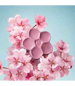 صابون بلومینگ بلاسم اوریفلیم