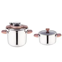 زودپز دوقلو 4و6 لیتر رزگلد لادیک