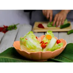 کاسه سالاد سرامیکی ۲۵ رنگی میلاگرو
