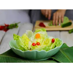 کاسه سالاد سرامیکی ۲۵ رنگی میلاگرو